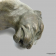картинка — статуэтка «крадущаяся пантера». глина. европа
