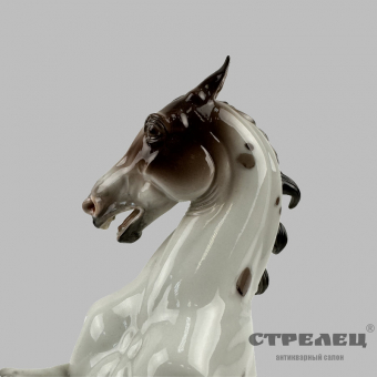 картинка — фарфоровая статуэтка «конь на дыбах». allach. германия